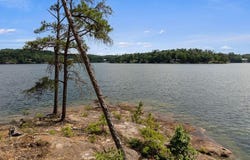 33 COUNTY ROAD 3938, Arley, AL 35541
