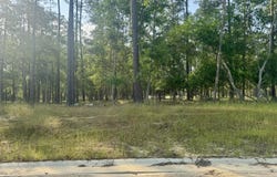Maluhia Drive lot: 30, Diamondhead, MS 39525