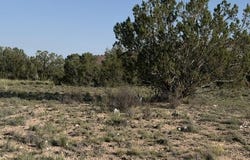 25840 W Granada Road, Seligman, AZ 86337