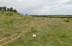 5110 FM 1702, Gustine, TX 76455