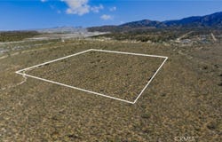 Evergreen, Pinon Hills, CA 92372