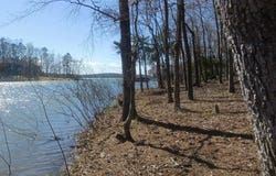 1061 Refuge Place, Chapin, SC 29036
