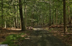 MOUNTAIN TOP W, NEW HOPE, PA 18938