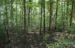 #167 Rolling Road, Lincolnton, NC 28092