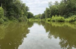 Pea Ridge Rd., Mount Olivet, KY 41064