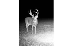 0 Straight Bayou Rd, Anguilla, MS 38721