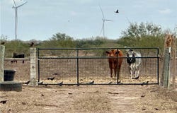 28186 N FM 2058, Edinburg, TX 78541