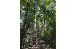 Pleasant Hill, Eufaula, AL 36027