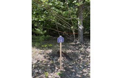 Sadie Ln, Bear Lake, MI 49614