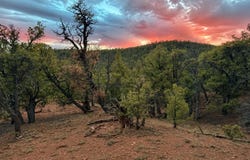 Venado Crest 21.205(AC) Road, Ramah, NM 87321