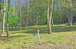 Parcel 101,Lot 2 RABBIT HOLLOW Road, ACCIDENT, MD 21520
