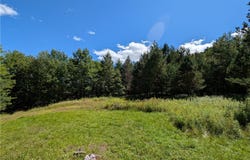 352 Tower Mountain Road, Jewett, NY 12444