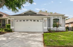 14466 Tamarind Loop, Spring Hill, FL 34609