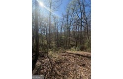10996 Shannon Circle, Hampton, GA 30228