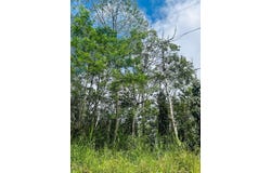 NIIHAU RD, Pahoa, HI 96778