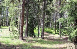 3 Cooke Pass Ln, Cooke City, MT 59020