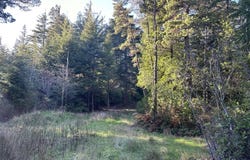 Hensley, PortOrford, OR 97465