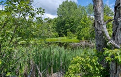 5971 CLEARVIEW CT, Hazelhurst, WI 54531