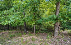 1524 Shalimar Ridge Lane, High Ridge, MO 63049
