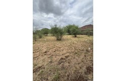 15516 FOX LN, Selma, TX 78154