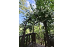 45 Black Bear Trace, Murphy, NC 28906