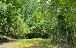 View Ridge Trail lot: 15, Murphy, NC 28906
