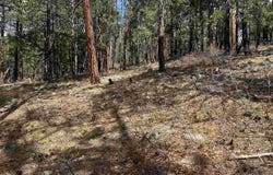 101 Pine Crest Drive, Bayfield, CO 81122