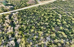 Highway 72 lot: 0, Three Rivers, TX 78071