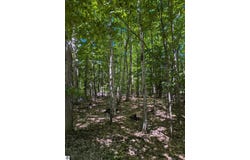 M-48, Pickford, MI 49774