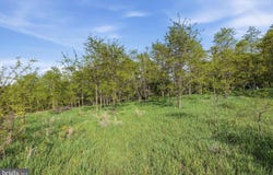 NATHANIEL DRIVE, ROMNEY, WV 26757