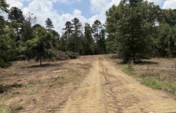 Easement Road off Polk Road 31, Cove, AR 71937