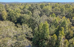 Briar Creek Road, Pittsview, AL 36871