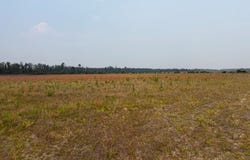Moore Road Tract 9, Naylor, GA 31641