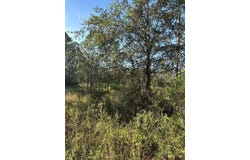 123 RD Lane, BRONSON, FL 32621