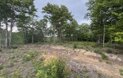 Sheep Ranch Rd, Robbins, TN 37852