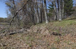 Oaks Court, Danbury, WI 54830