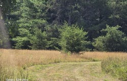 10652 W River Road, Irons, MI 49644