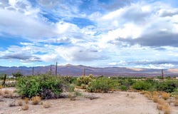 N Desert Sage Rd, Fort Thomas, AZ 85536