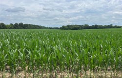82.666 acres m/l on E Highway U, Troy, MO 63379