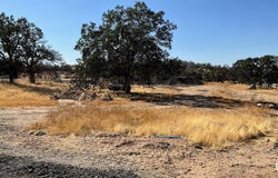 Sunflower Lane, O neals, CA 93645