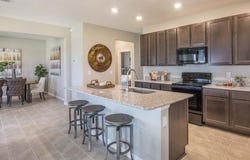3224 NEEDLE PALM Drive, EDGEWATER, FL 32141