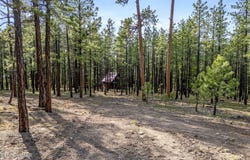 15 County Road 2083, Alpine, AZ 85920