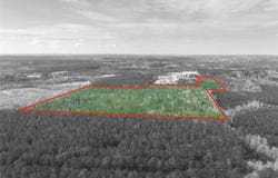 Highway 43, McIntosh, AL 36553