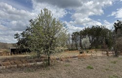 2384 Highway 51, Winona, MS 38967