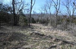 Riley Rd, Brumley, MO 65017