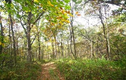 Gamble Hill Road, HANOVER, IL 61041