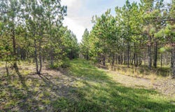 3 Crosscut Way, Davis, WV 26260