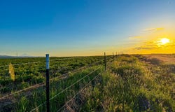 35 BUDDY Ln, Goldendale, WA 98620
