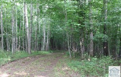 Brushy Mountain Rd, Stuart, VA 24171