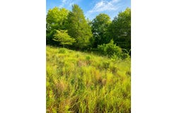 Bursot Road, Vevay, IN 47043